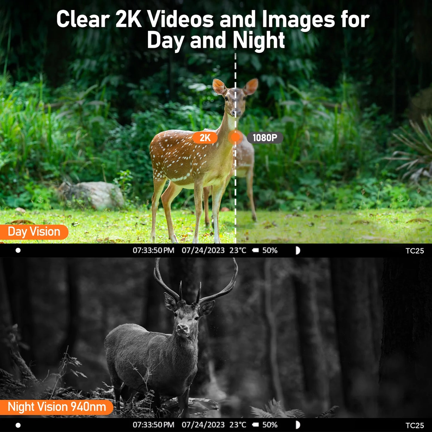 Capture Clear 2K Videos and Images for Day and Night with 1080P Vision.
