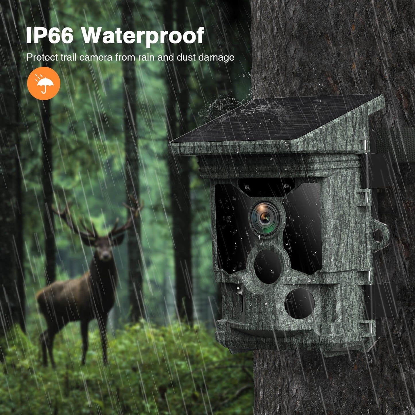 Campark T180 4K captures stunning 46MP images with solar power providing extended battery life.