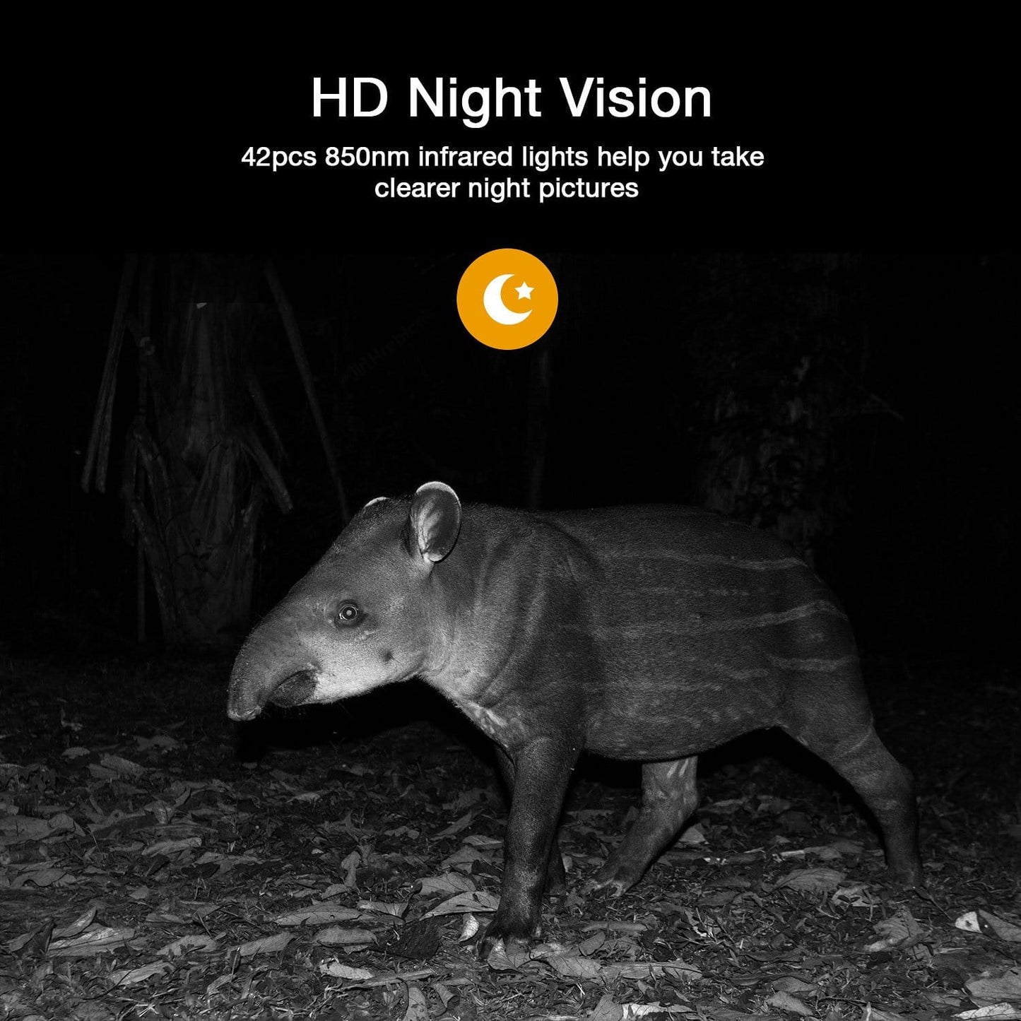 HD Night Vision features 42 pcs of 850nm infrared lights for clearer night images.