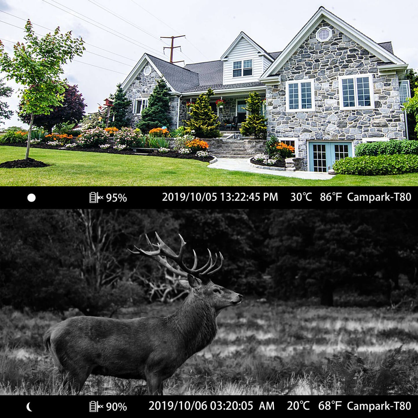 Campark T80 WiFi Trail Camera - 24MP 1296P Hunting Game Camera