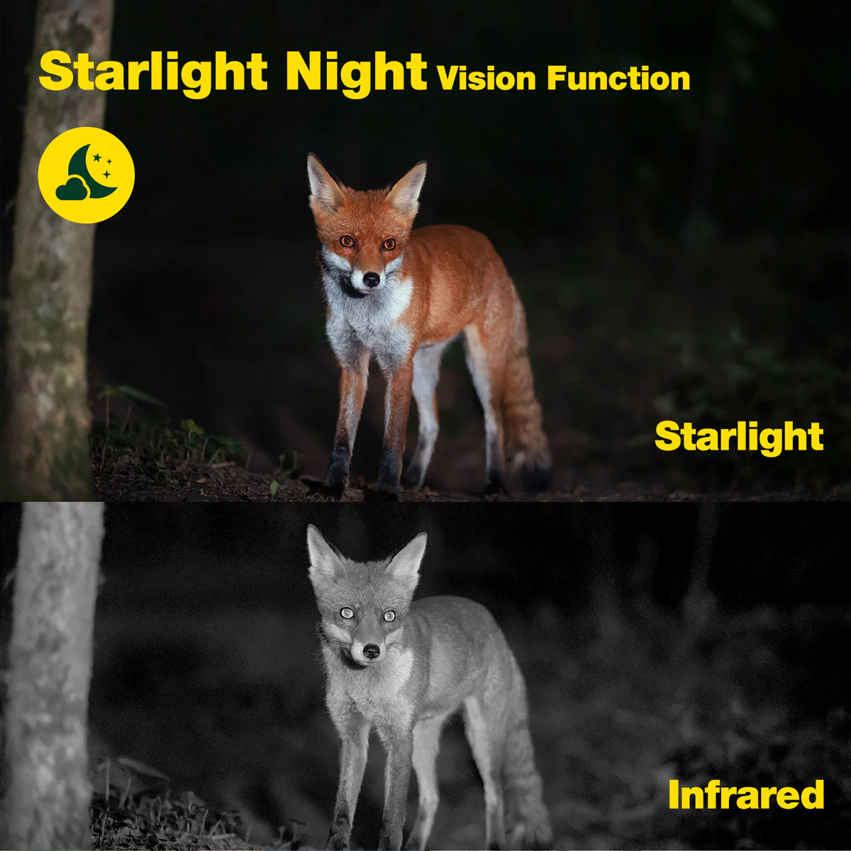 The Starlight night vision function captures stunning images in low-light conditions using the Campark TC06 4K 60MP trail camera.