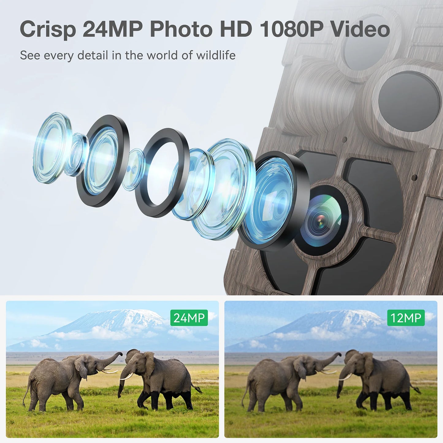 Captures crisp 24MP photos and 1080P videos of wildlife details with Campark TC16 trail camera.