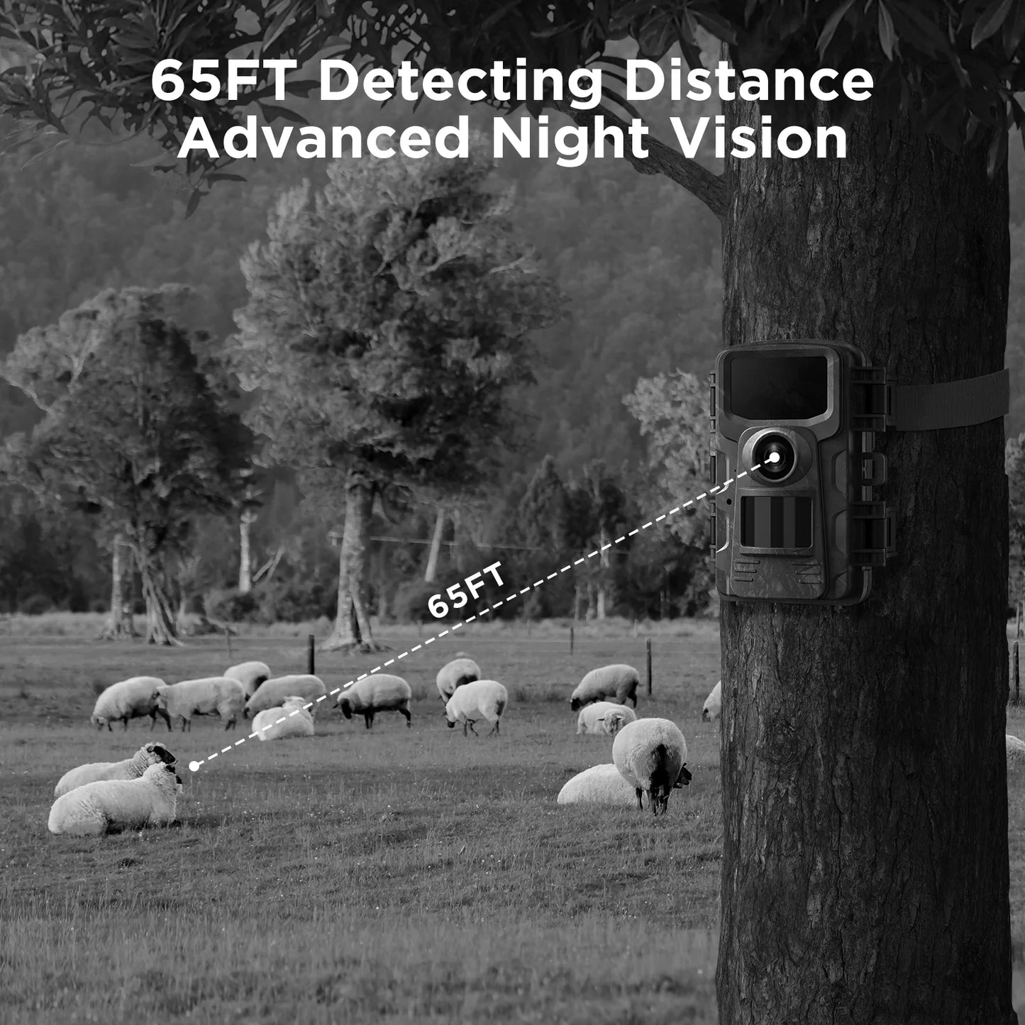 Captures clear images of wildlife and trail activity with advanced features.