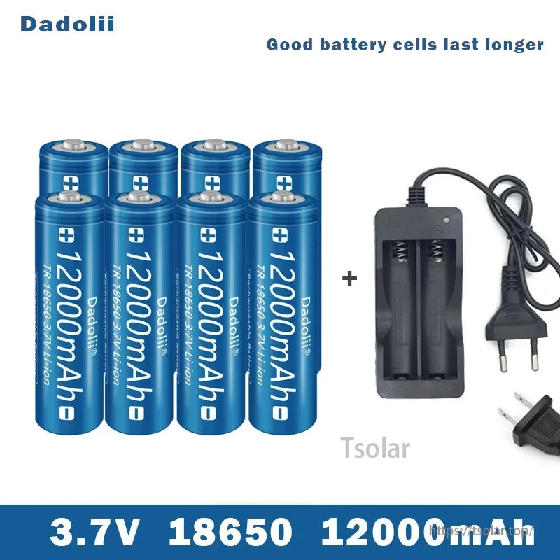 18650 Li-ion Rechargeable Battery, 18650 3.7V 12000mAh Li-ion Battery with Charger