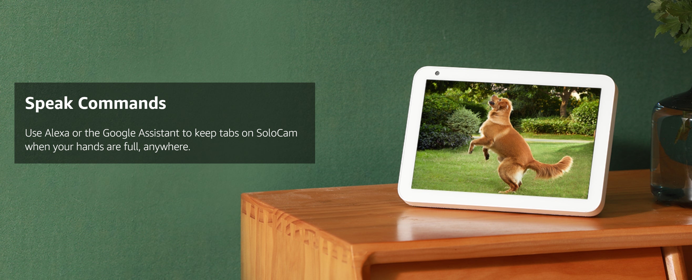 eufy S40 2K Solar Security Camera, use Alexa or the Google Assistant to tabs on SoloCam when your hands are full