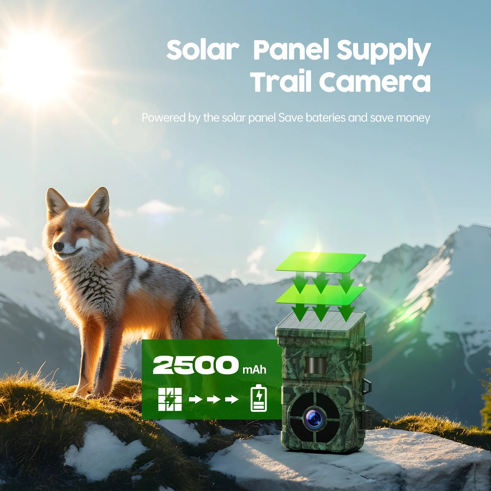 Campark TC15 24MP Solar Trail Camera, The Campark TC15 has a 24MP sensor and records 1080P video, using solar power for its trail camera.