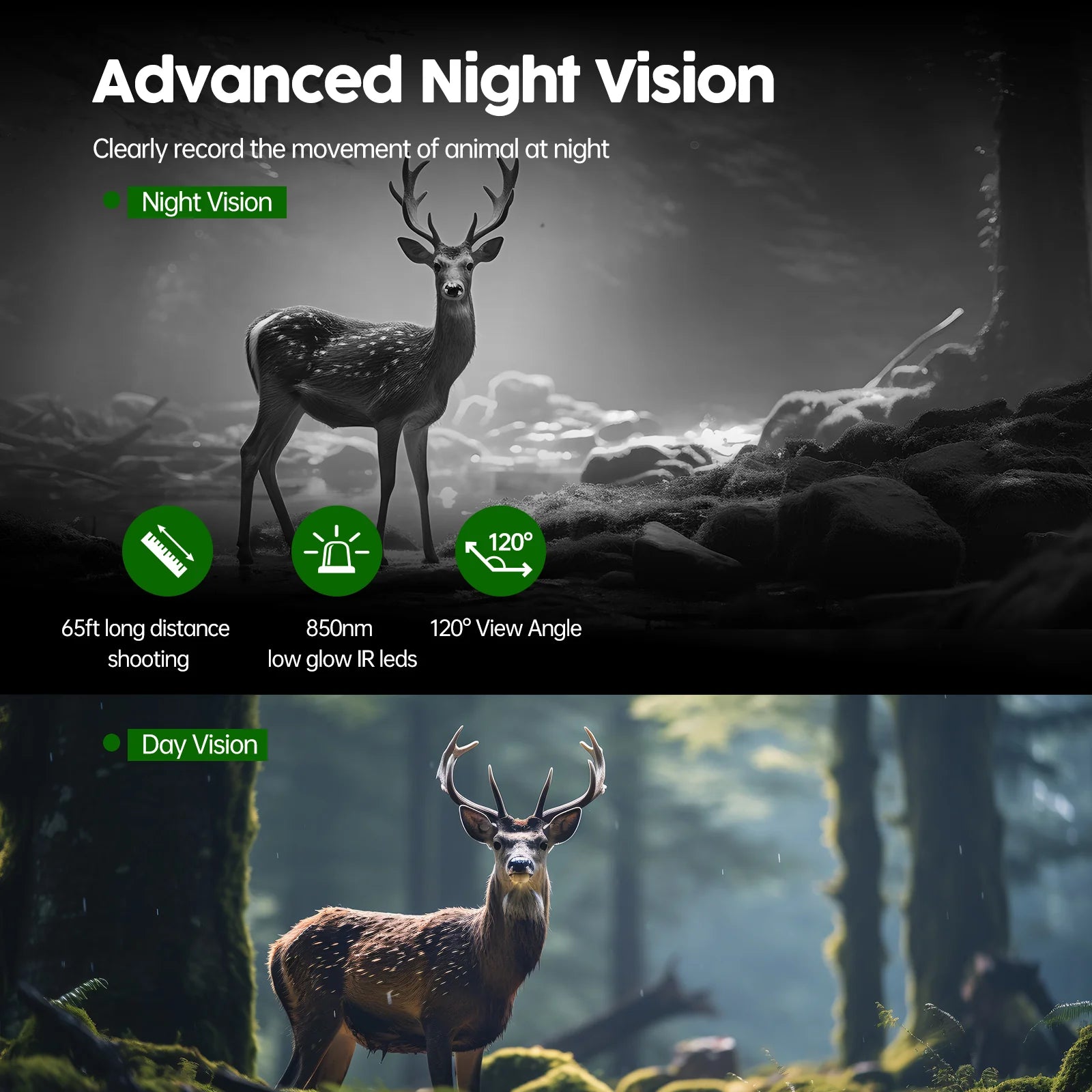 Campark TC15 24MP Solar Trail Camera, Advanced Night Vision device captures animal movement at night with 1200mm range and 65ft detection distance, using low-glow IR LEDs.