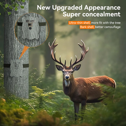 The Campark TC21 has an updated design for better concealment and a slim profile that blends well with tree bark.