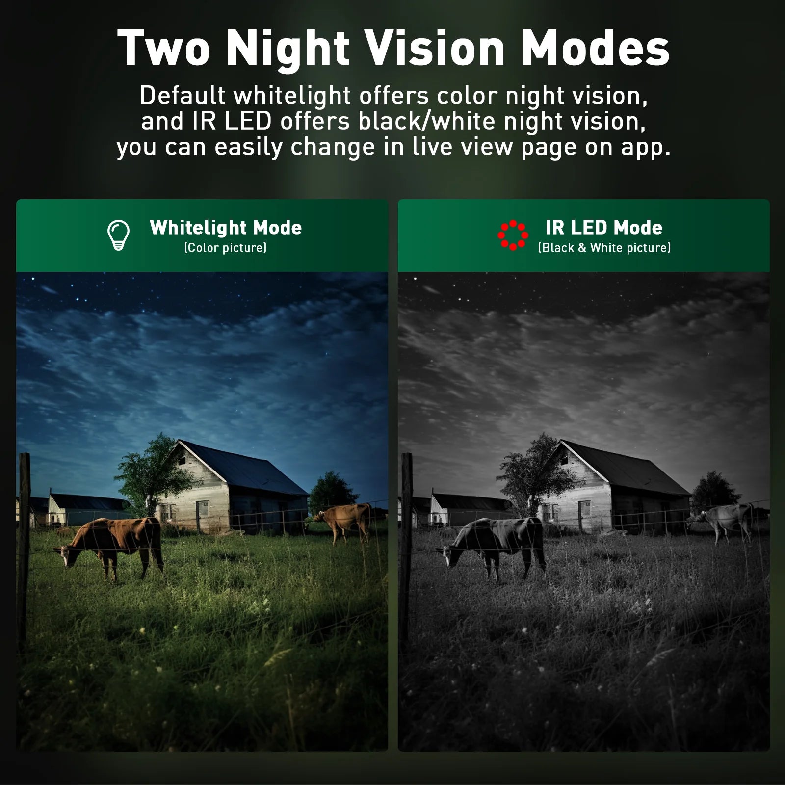 The Campark TC26 Camera has two Night Vision Modes: Default for color and IR LED for black & white.
