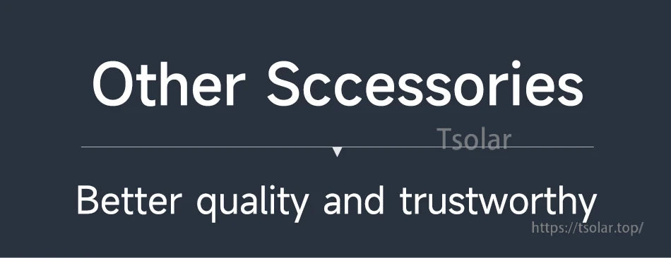 Banner text reading "Other Accessories" with the tagline "Better quality and trustworthy" for Daly Smart BMS page