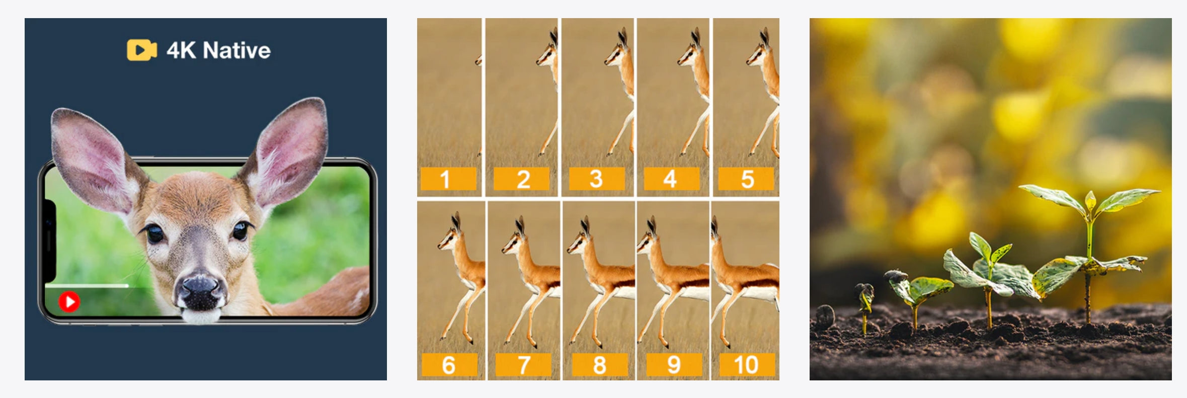 Campark T180 4K Camera, The Campark T180 Solar Trail Camera features advanced technology for wildlife monitoring, farm surveillance, and home security.