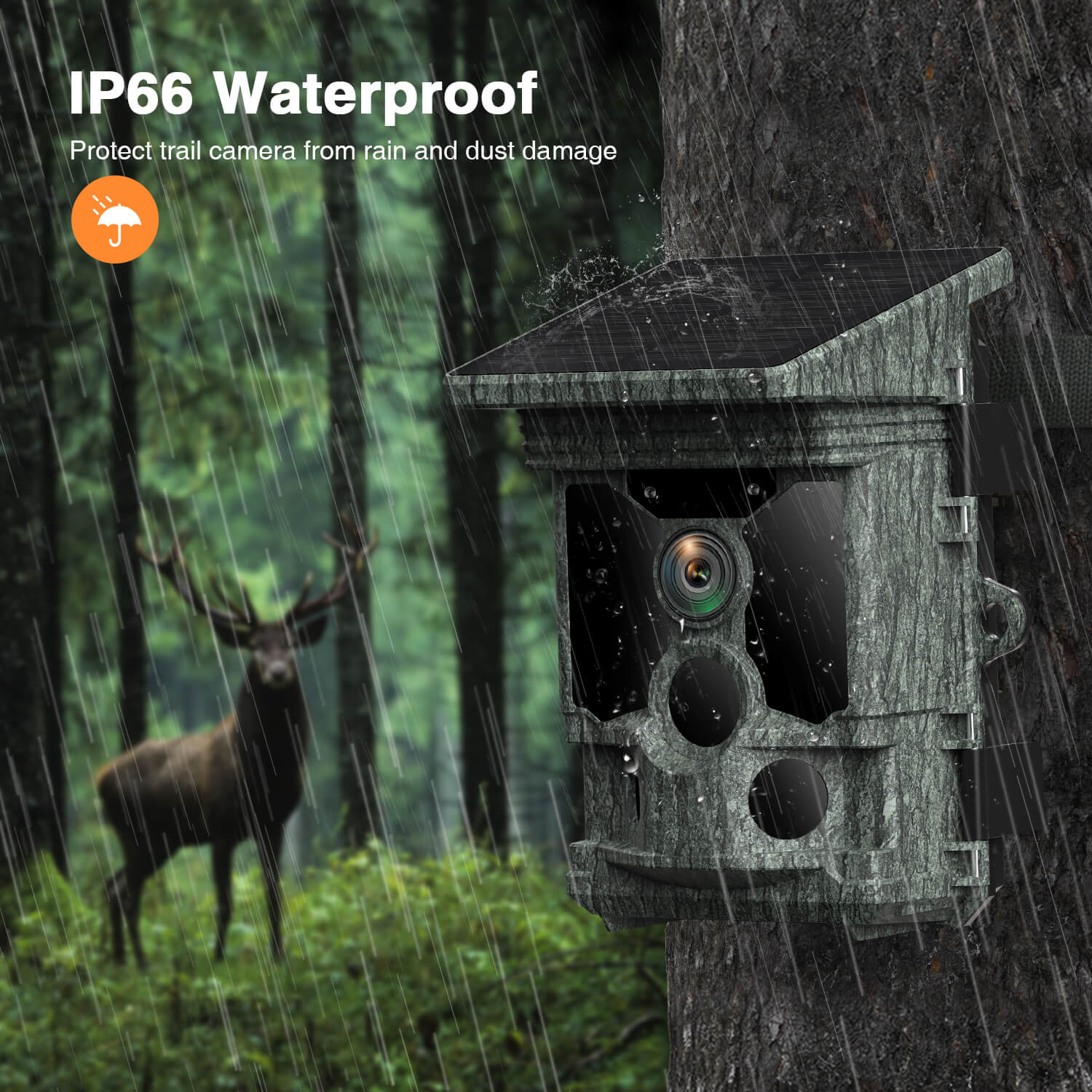 Campark T180 4K Camera, IP66 waterproof technology protects this trail camera from rain and dust damage, designed for outdoor use