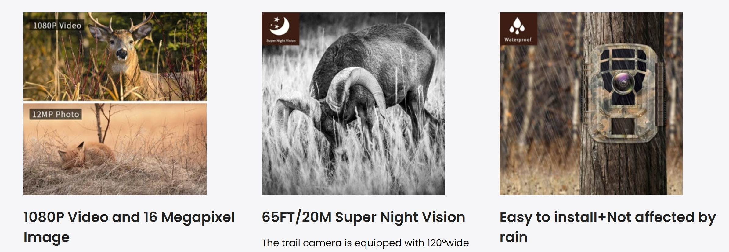 Campark T20 1080P Trail Camera, The camera captures 12MP photos and 1080p videos with 16 megapixel sensor and super night vision up to 65ft.