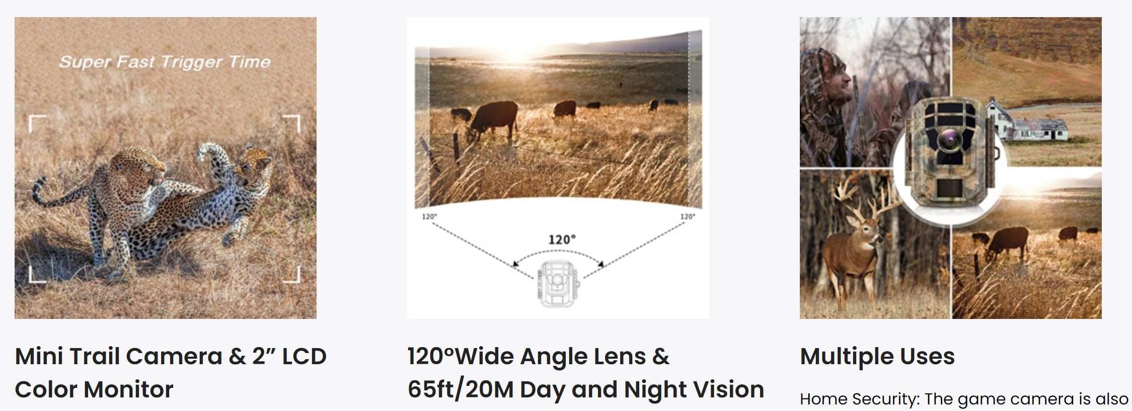 Campark T20 1080P Trail Camera, Mini trail camera with LCD display, wide-angle lens, and night vision feature for home security.