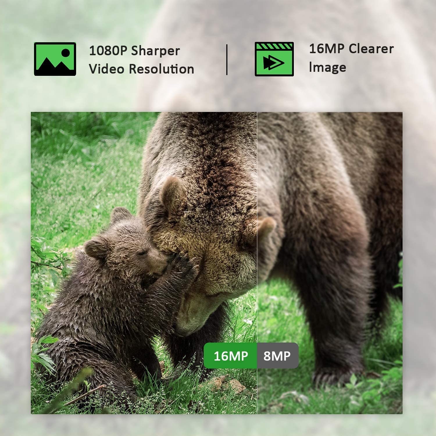 Campark T20 1080P Trail Camera, The Campark T20 trail game camera has sharp 1080P video and 16MP/8MP photo capabilities.