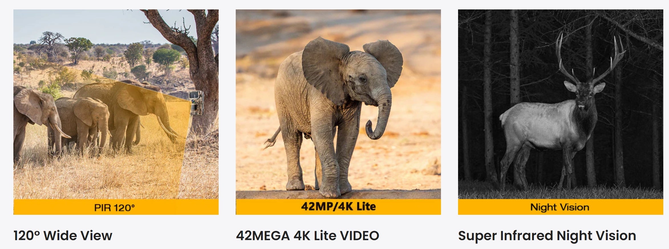 Campark T40A Game Camera, The Campark T40A features PIR sensor, 42MP image resolution, 4K video recording, wide view, and infrared night vision.