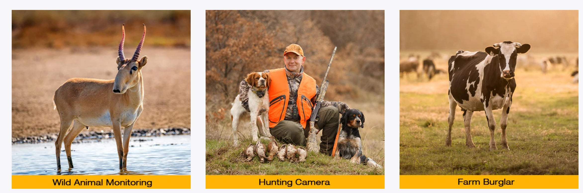 Campark T40A Game Camera, Capture wildlife, farm burglars, or hunting scenes with this camera.