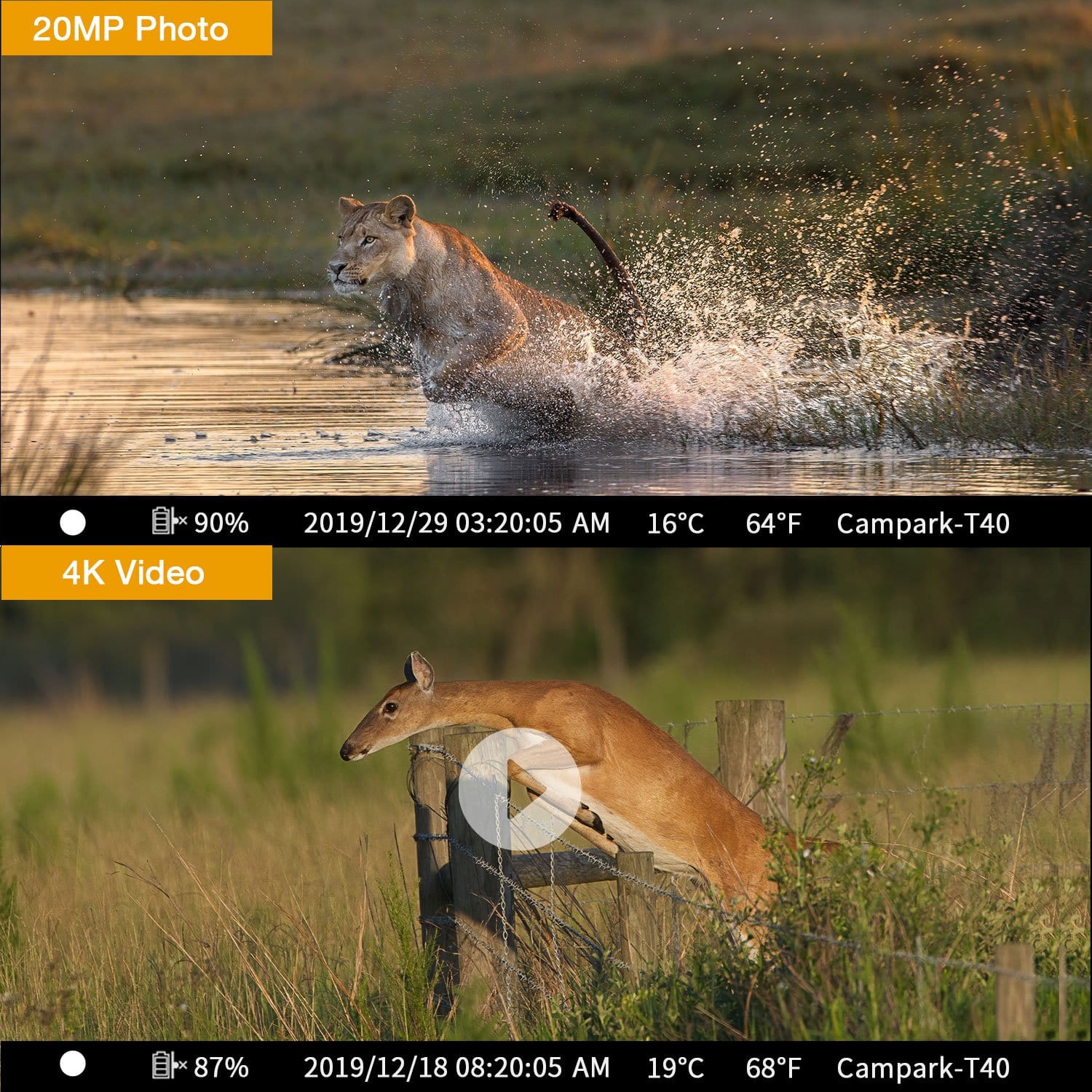 Campark T40A Game Camera, The camera has a 120° wide-angle view, expanding its field of vision for wider coverage.