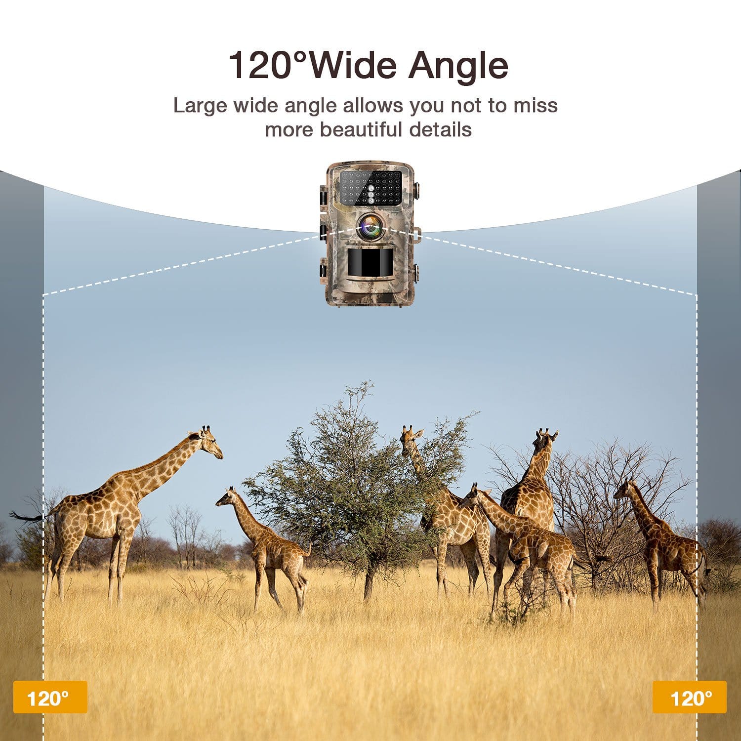 Campark T40A Game Camera, The wide-angle lens captures more details.