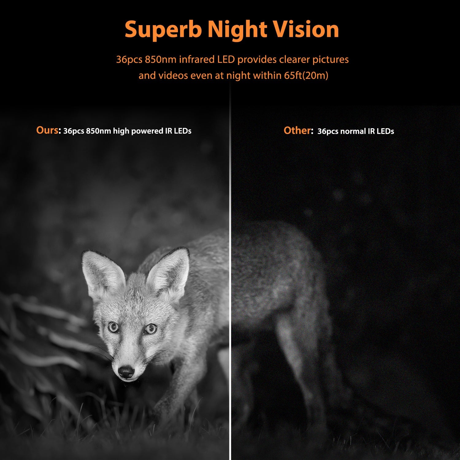 Campark TC02 4K Solar Camera, Our TC02 trail camera has excellent night vision with 36 infrared LEDs, capturing clear images and videos up to 65ft away.