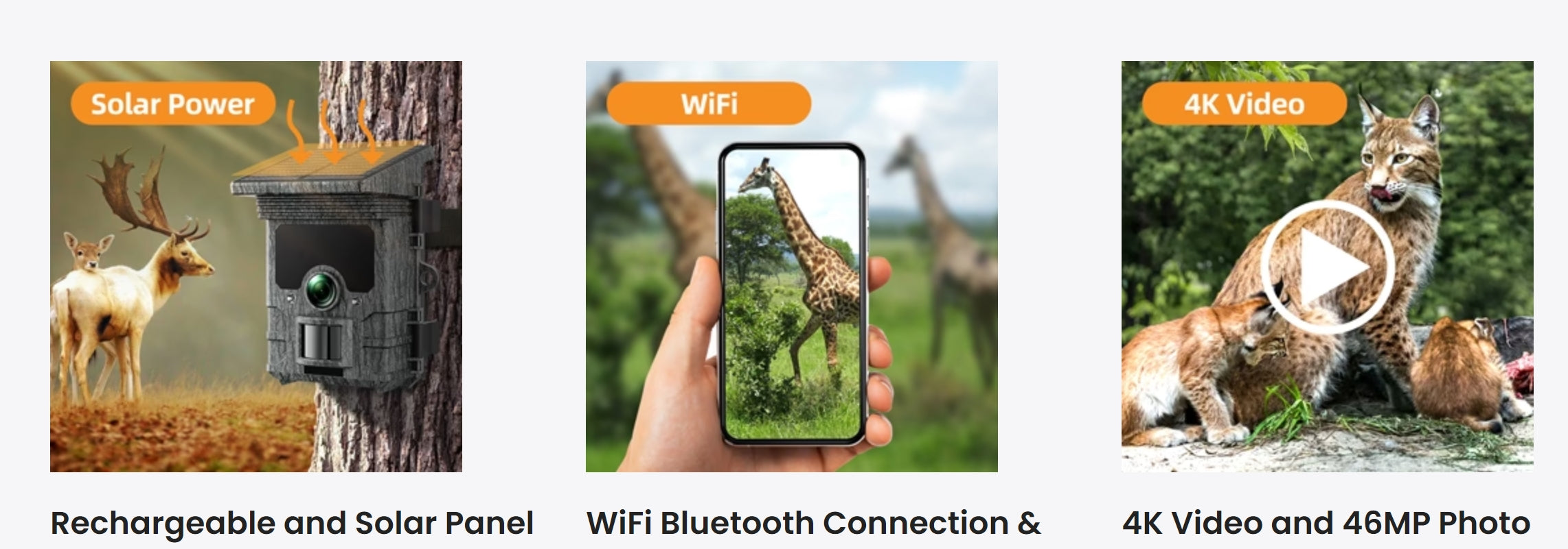 Campark TC02 4K Solar Camera, Solar-powered WiFi trail camera captures 4K video and 46MP photos with wireless image transfer via WiFi and Bluetooth.