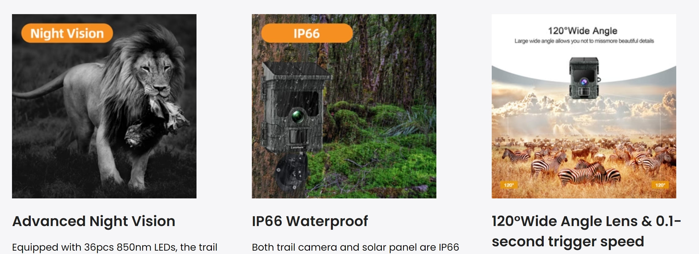 Campark TC02 4K Solar Camera, Trail camera features advanced night vision with 36 LEDs, wide angle lens, and IP66 waterproofing for camera and solar panel.