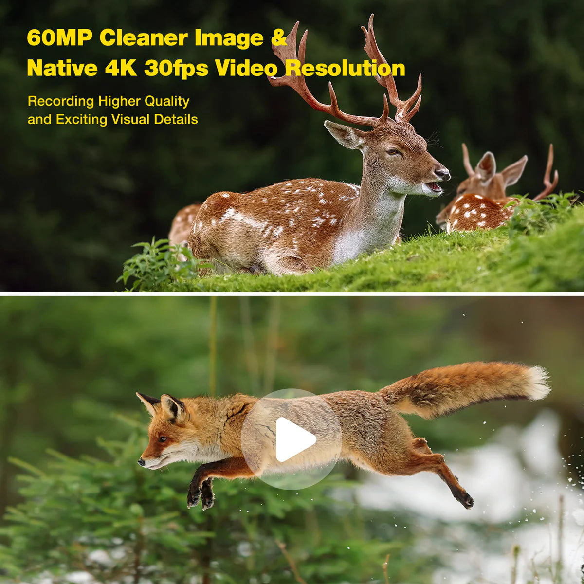 Campark TC06 4K Trail Camera, Capture high-quality images and 4K 30fps video for detailed visuals.