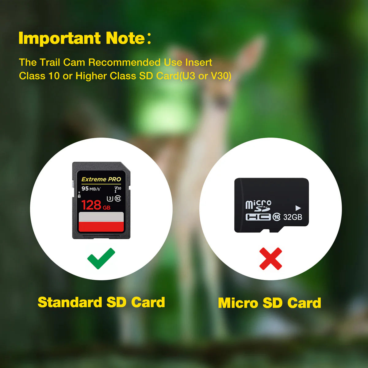 Campark TC06 4K Trail Camera, The trail cam recommends using a Class 10 or higher SD card for optimal performance.