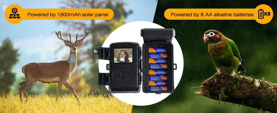 The Campark TC07 Solar Trail Camera uses a 180mAh solar panel and 8AA battery backup for reliable operation.