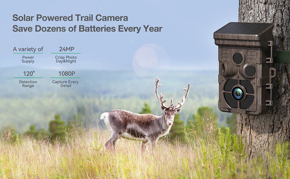 Solar-powered trail camera saves batteries, takes 24MP photos, detects day/night, and captures 1080p videos.