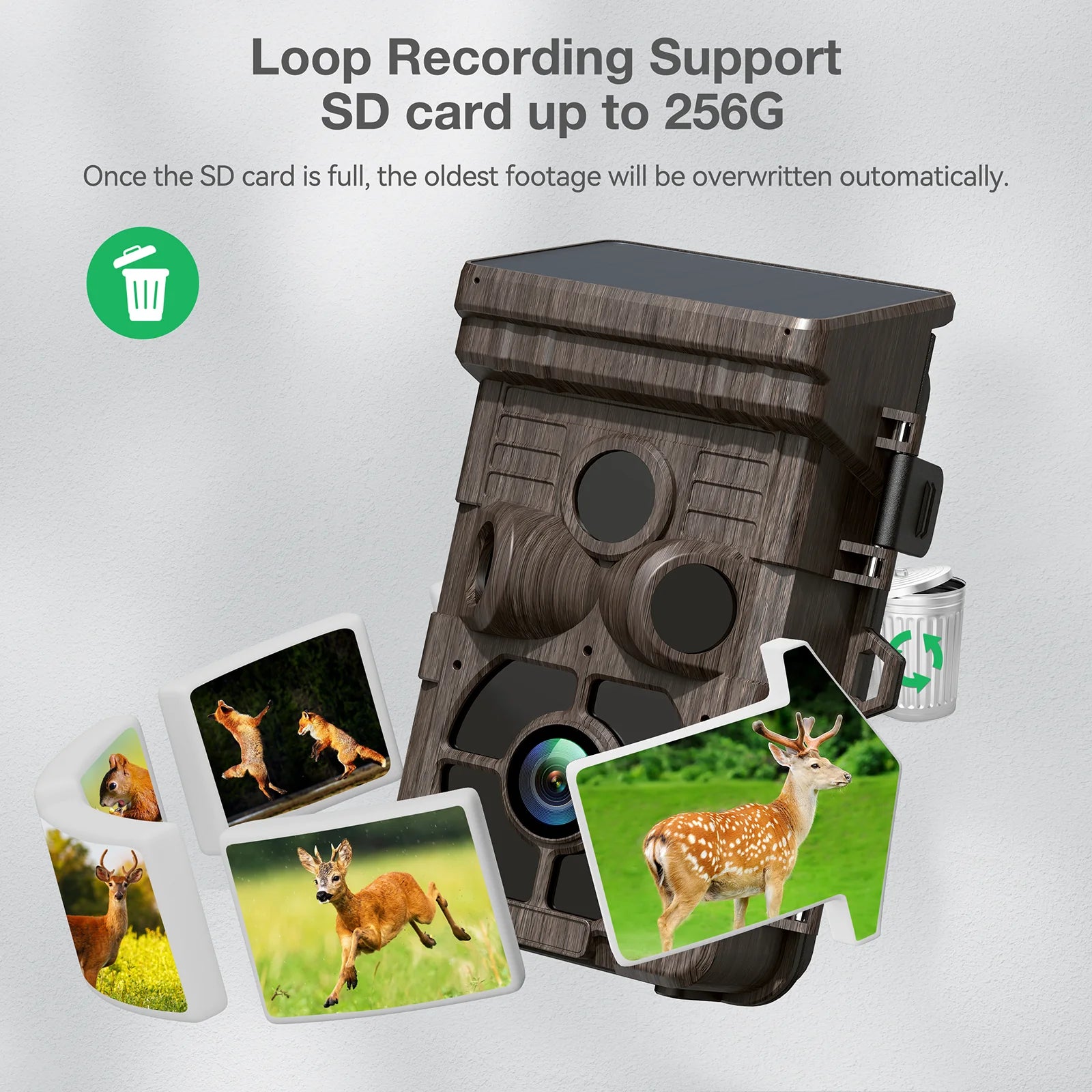 The device supports loop recording up to 256GB SD cards, overwriting oldest footage when the card is full.