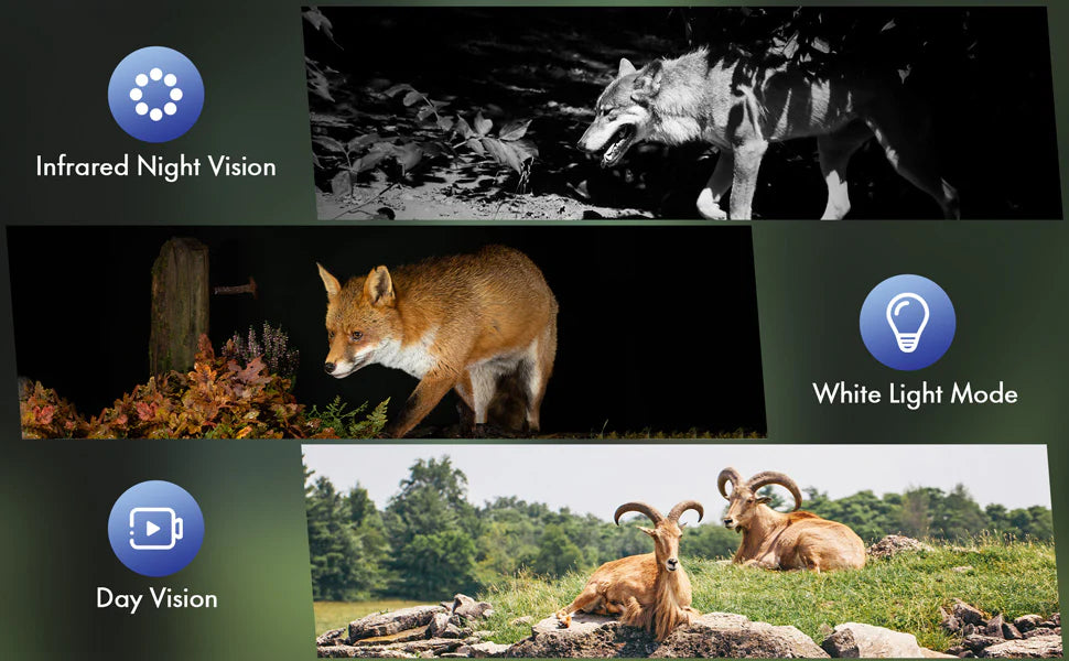 Campark TC17 Solar Trail Camera, Crisp images captured day/night using infrared and white light modes on a 2.5K 4G LTE cellular solar trail camera.