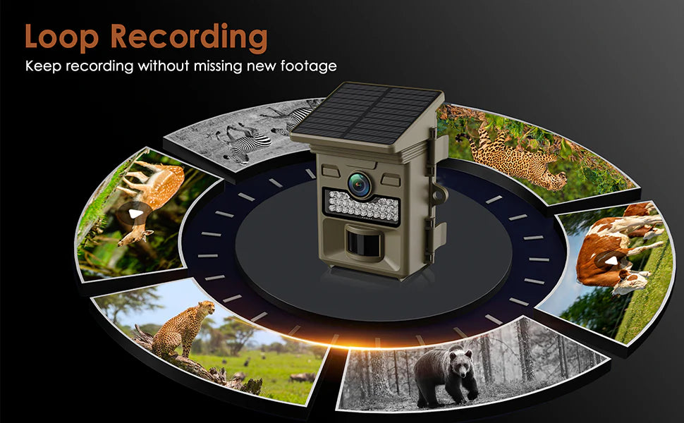 Record 4K video with continuous loop for non-stop action capture.