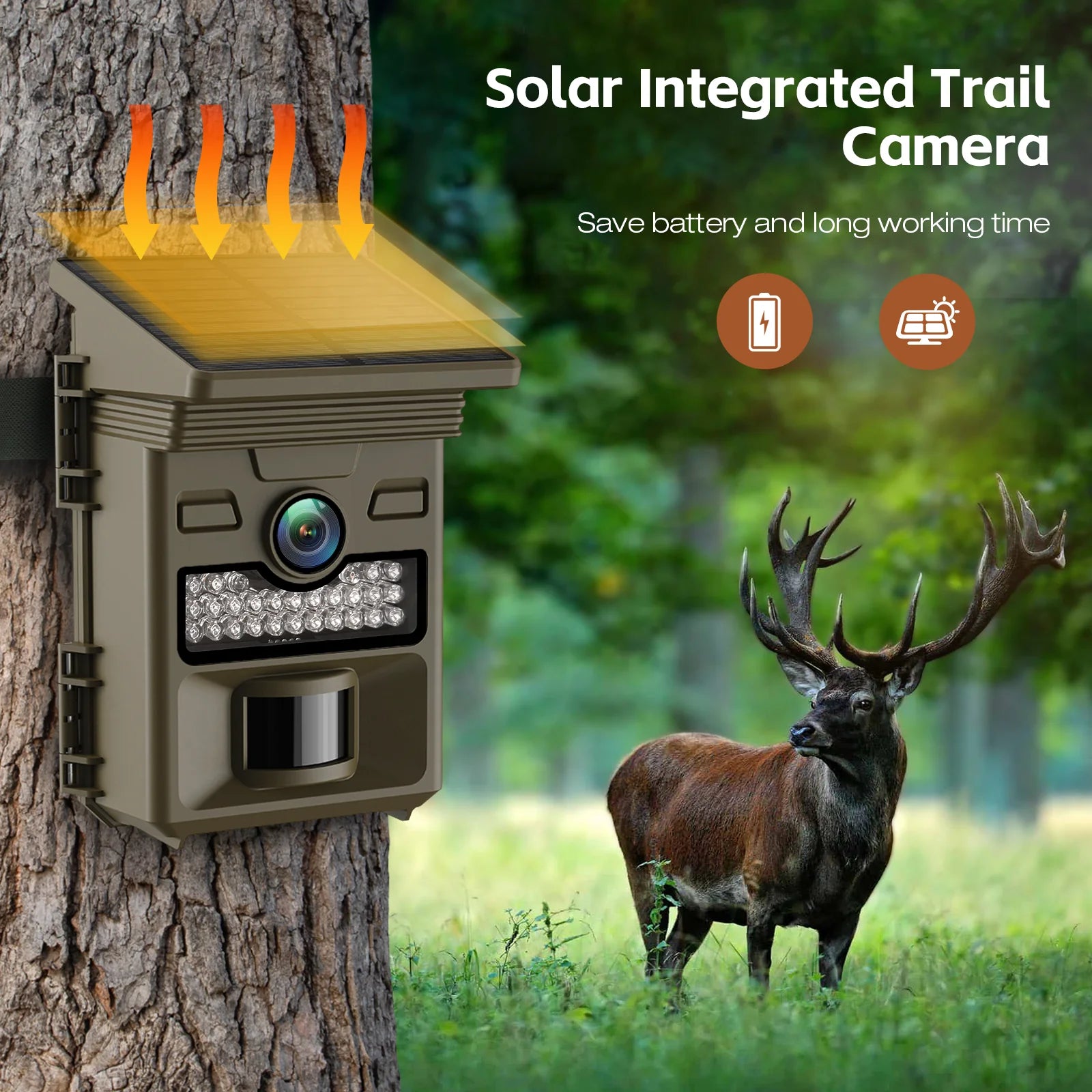 Solar-powered trail camera takes wildlife photos and videos, compact, weather-resistant, and easy to set up.