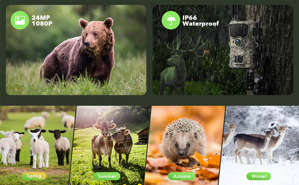 The Campark TC20 trail camera has 1080P video and 24MP photos, with 4G LTE connectivity for remote monitoring.