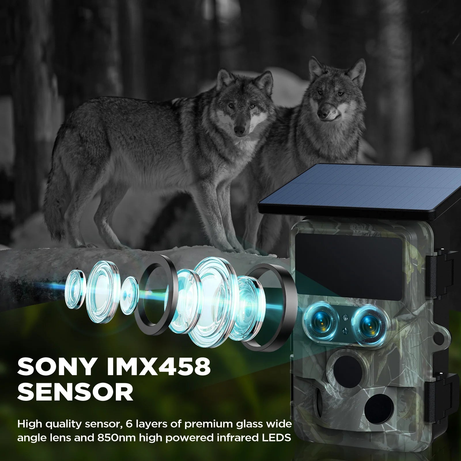 The Campark TC22 trail camera features high-quality imaging with a Sony IMX458 sensor and captures clear photos in low-light conditions.