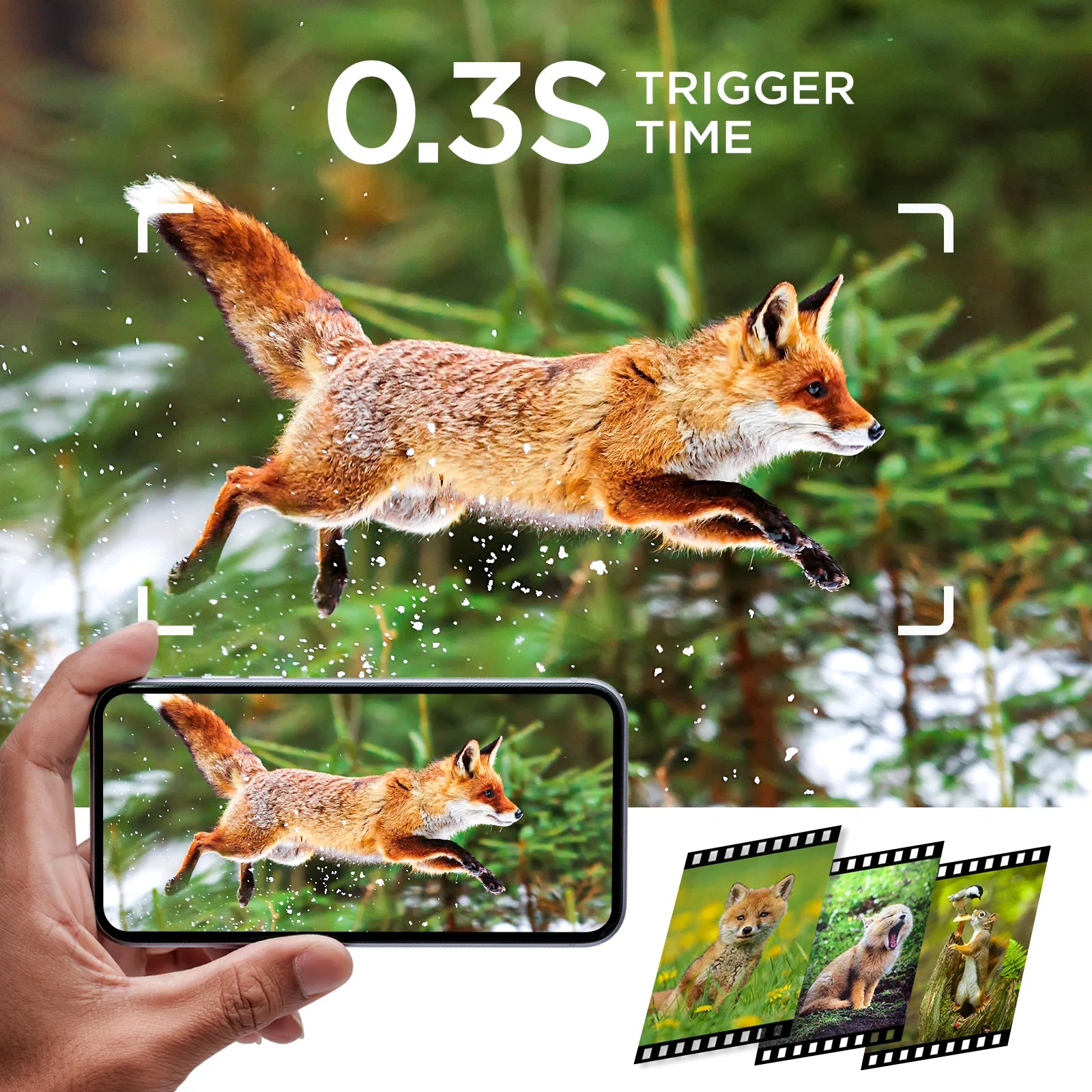 Campark TC23 Trail Camera, This trail camera captures detailed wildlife footage with 24MP image resolution, 1080P video recording, and night vision capabilities.