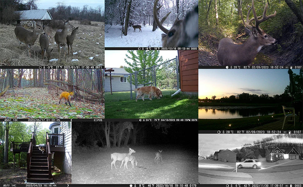 Campark TC23 Trail Camera, The intuitive user interface allows for easy adjustments and customization of camera settings to suit individual preferences.