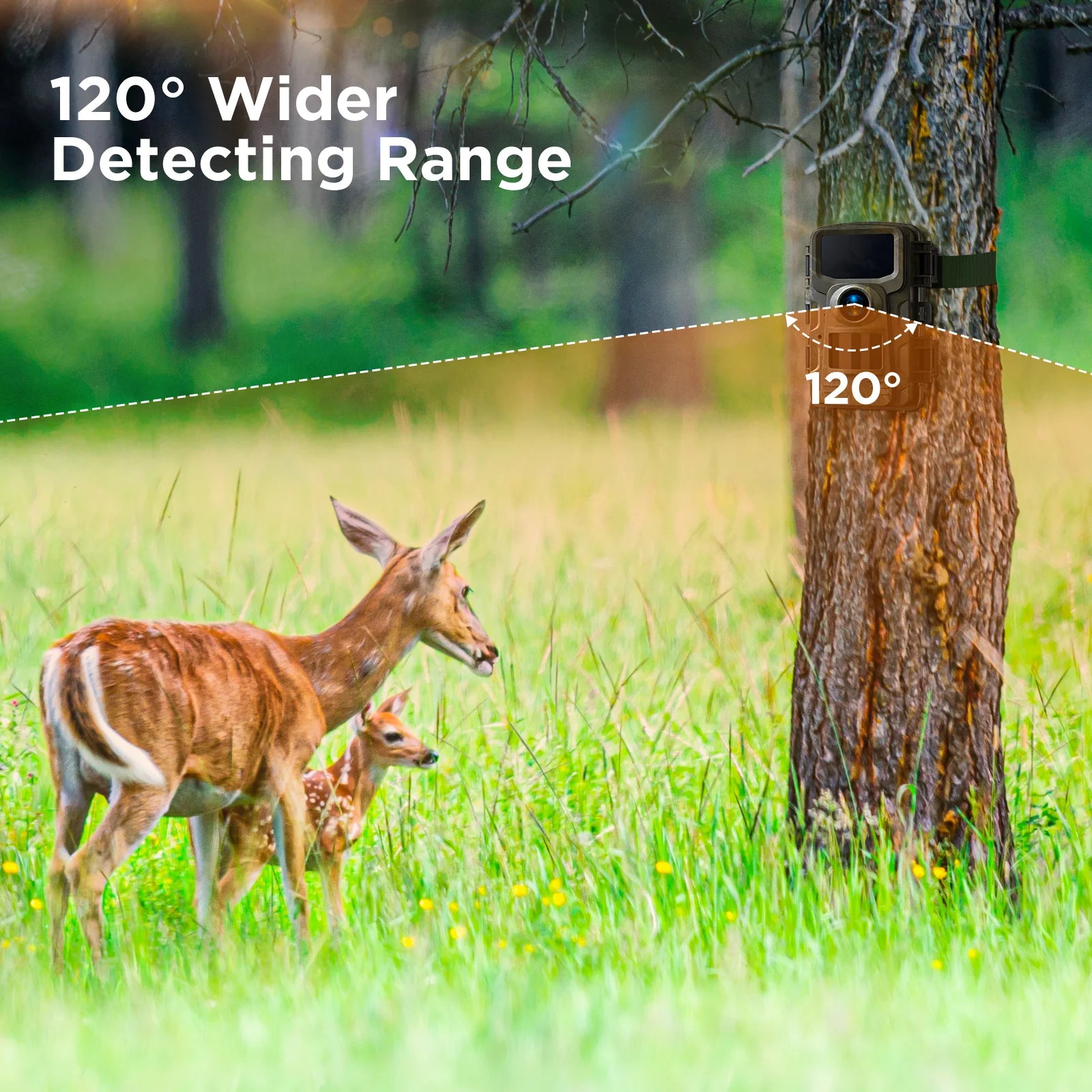 Campark TC23 Trail Camera, Wider detecting range with a distance of 1200 for effective trail camera detection and surveillance.