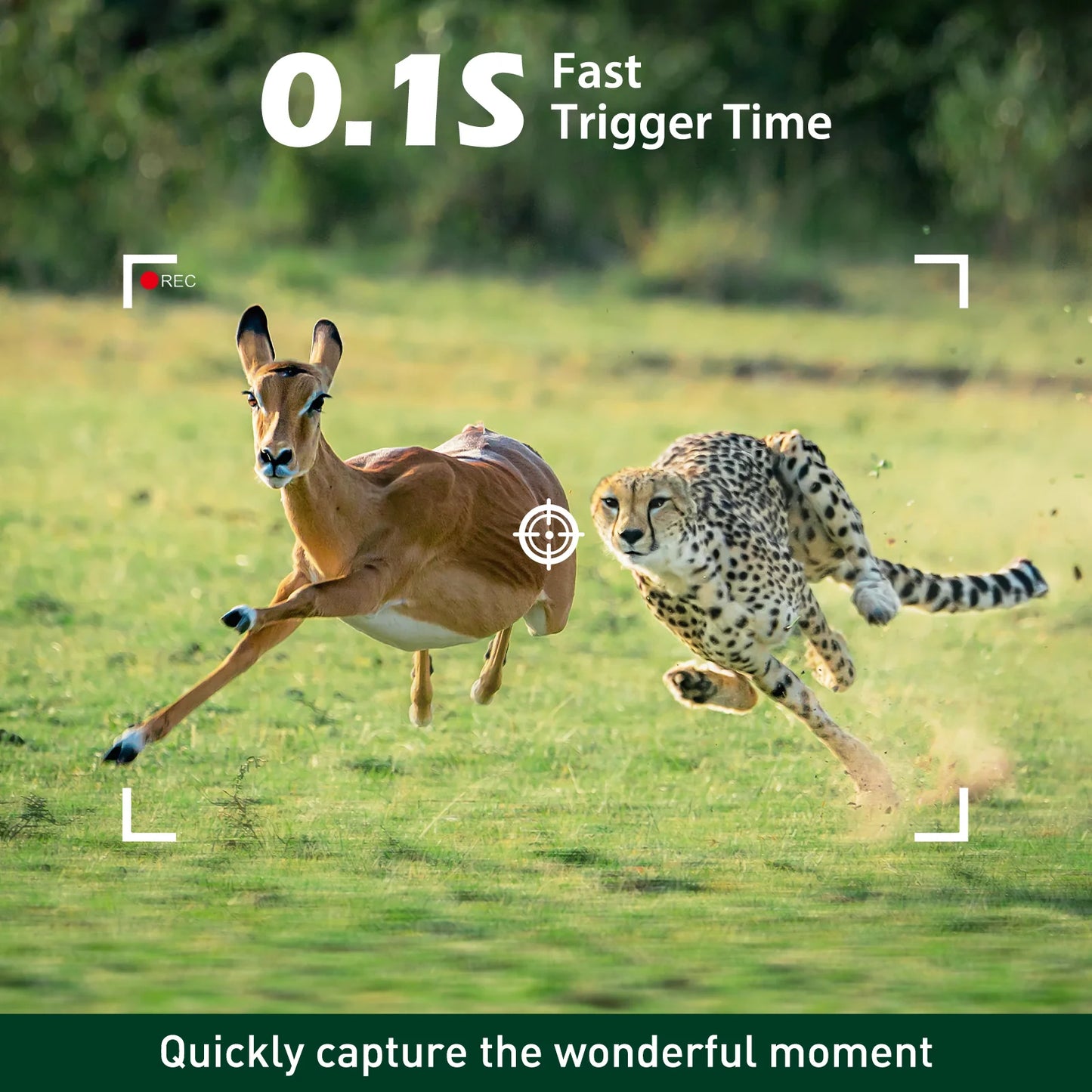 Capture life unexpected moments with a trail camera featuring fast 0.1 seconds trigger time.