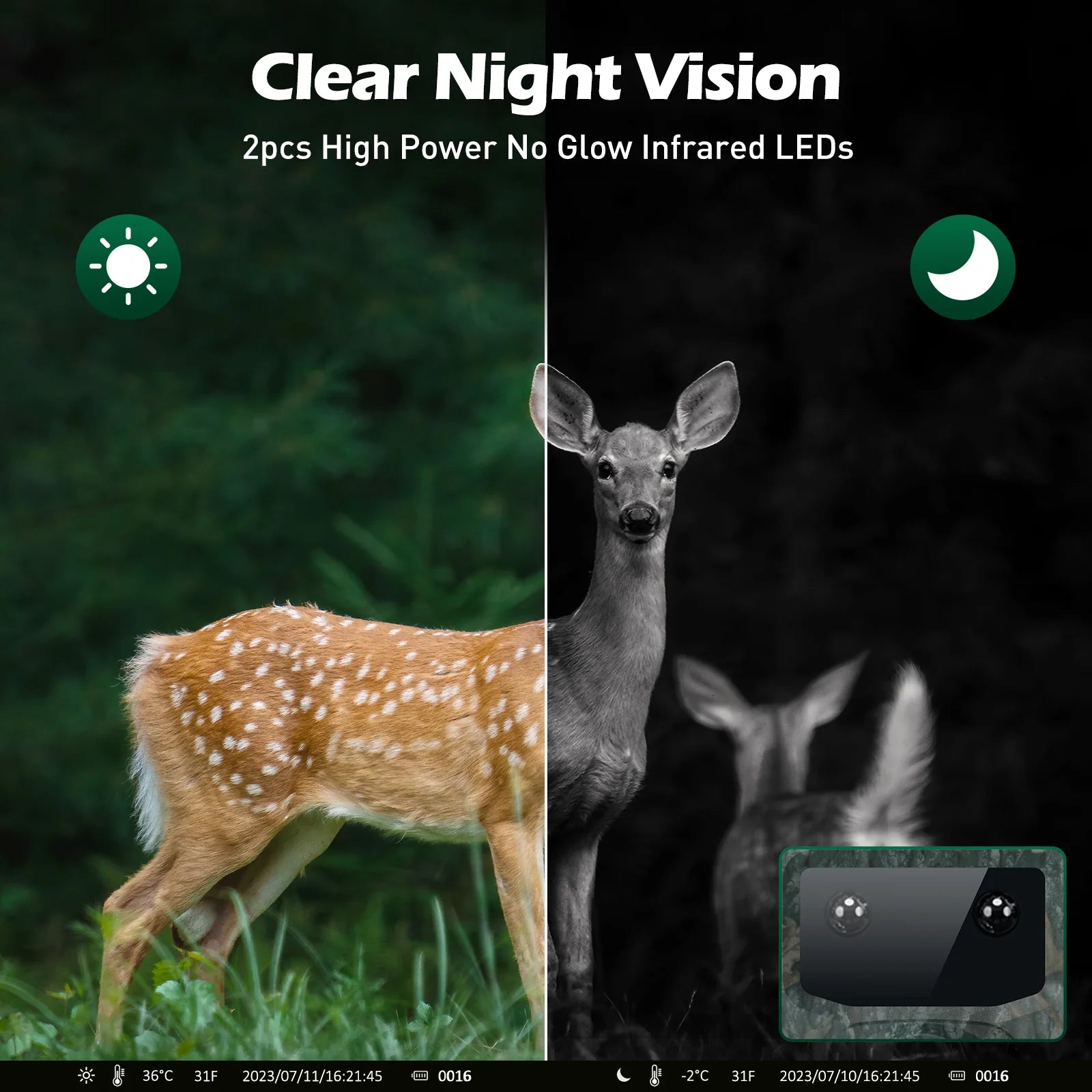 Campark TC24 4K Trail Camera, This device has a quick trigger speed and 65ft/20M night vision, providing precise and clear imagery both day and night.