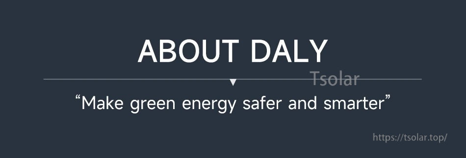 ABOUT DALY banner with the tagline “Make green energy safer and smarter”