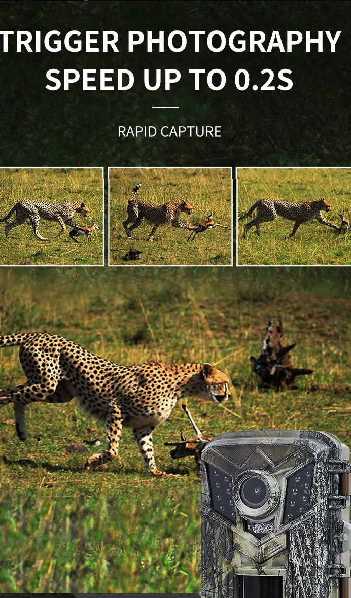 DL006 Mini Hunting Camera, Capture rapid photos with this mini camera, featuring 0.25 second trigger speed, perfect for wildlife and outdoor enthusiasts.
