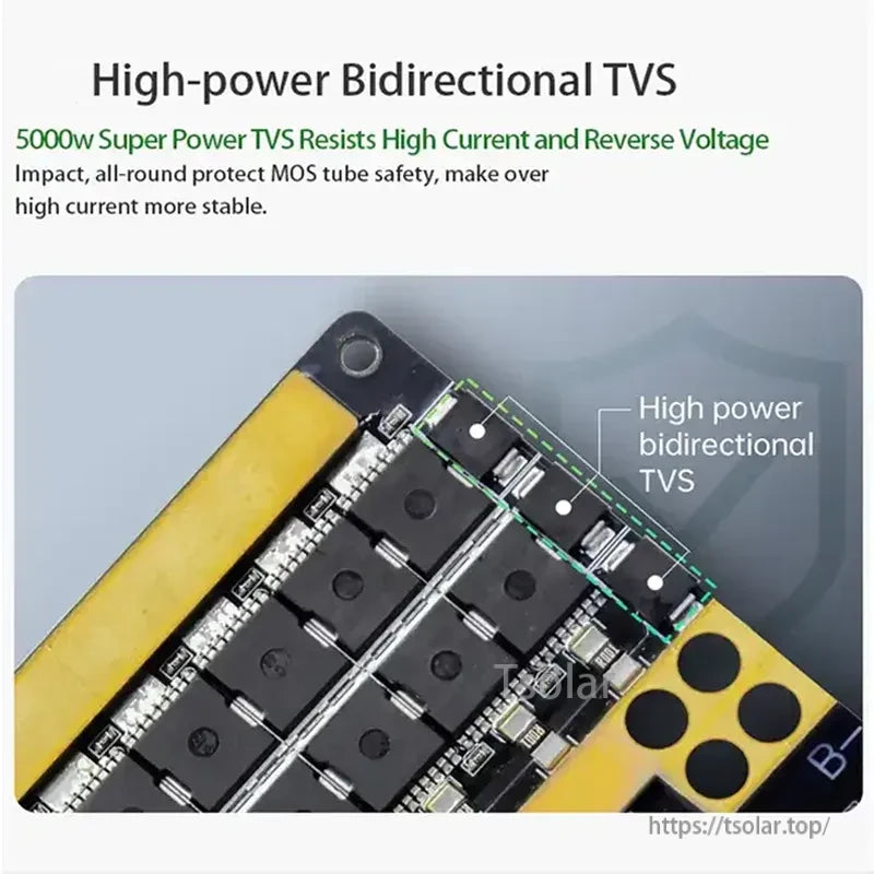 Close-up of high-power bidirectional TVS protection section labeled 5000W for reverse voltage and surge resistance
