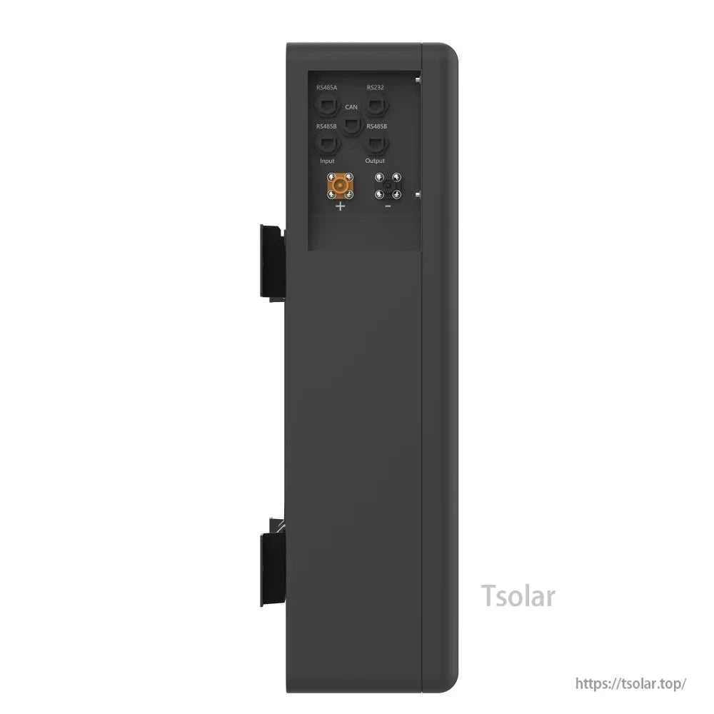 Communication and power ports panel: RS232, RS485, CAN plus input/output terminals on battery side