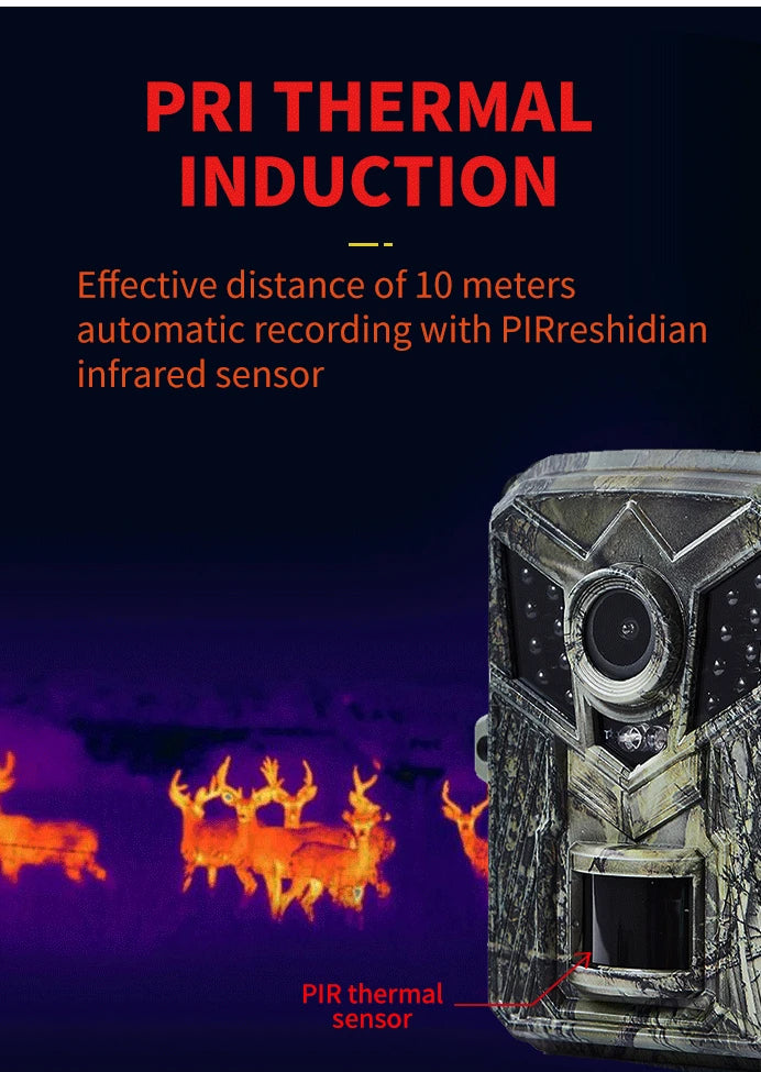 The DL006 Mini Hunting Camera has a PIR thermal sensor and detects motion up to 10 meters away.