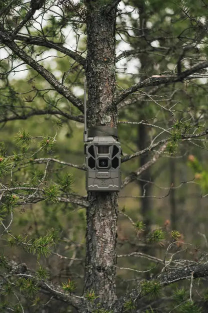 Tactacam Reveal X 3.0 Cellular Trail Camera